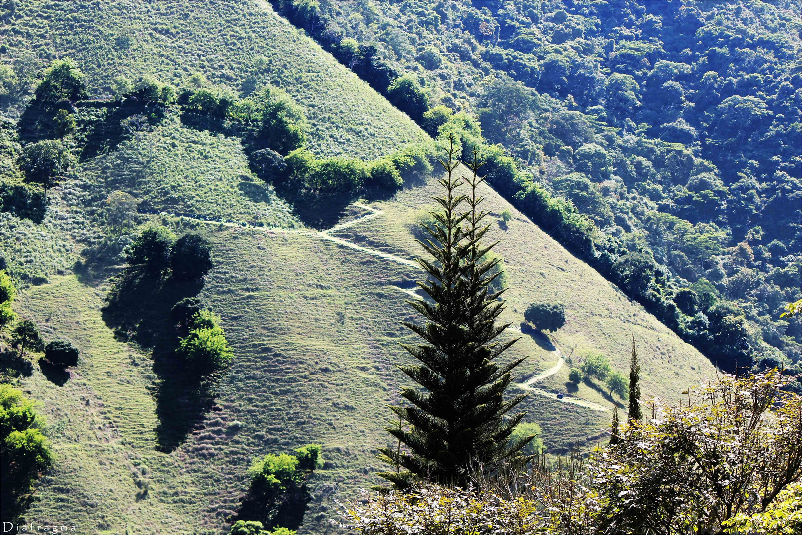 Caminos de Amagá