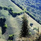 Caminos de Amagá