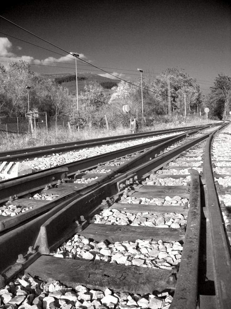 Caminos de hierro