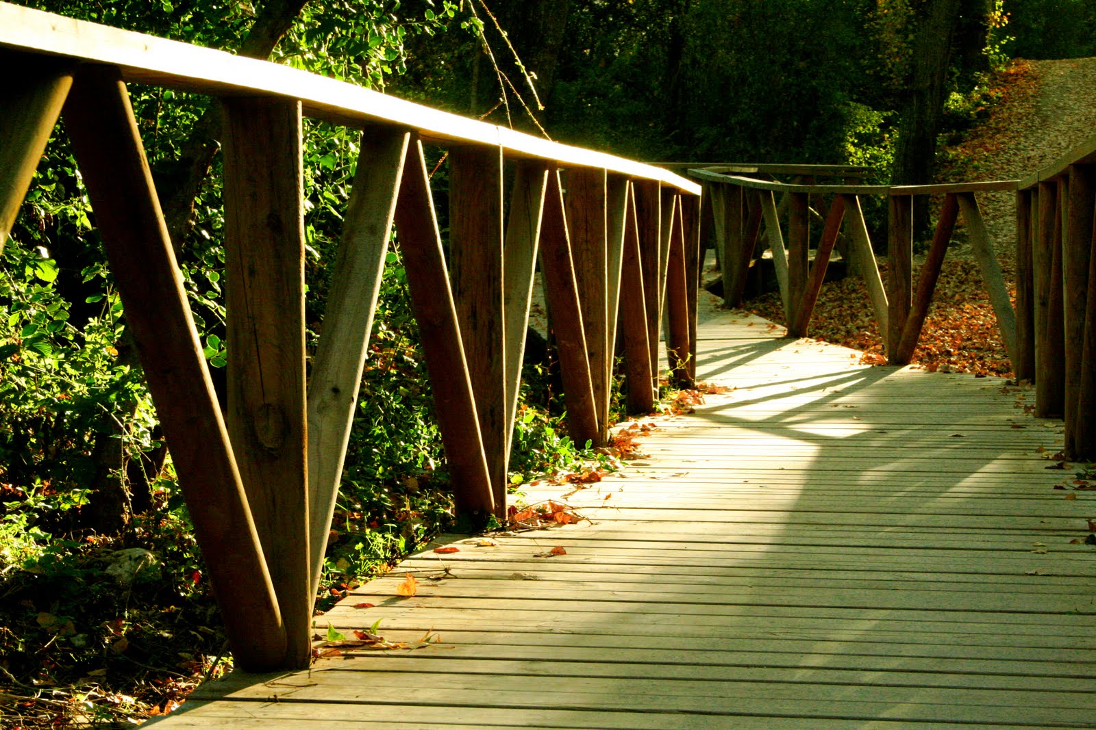 Caminos de la tarde