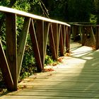 Caminos de la tarde