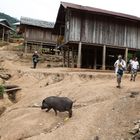 CAMINOS DE LAOS - Ban Bouamsom