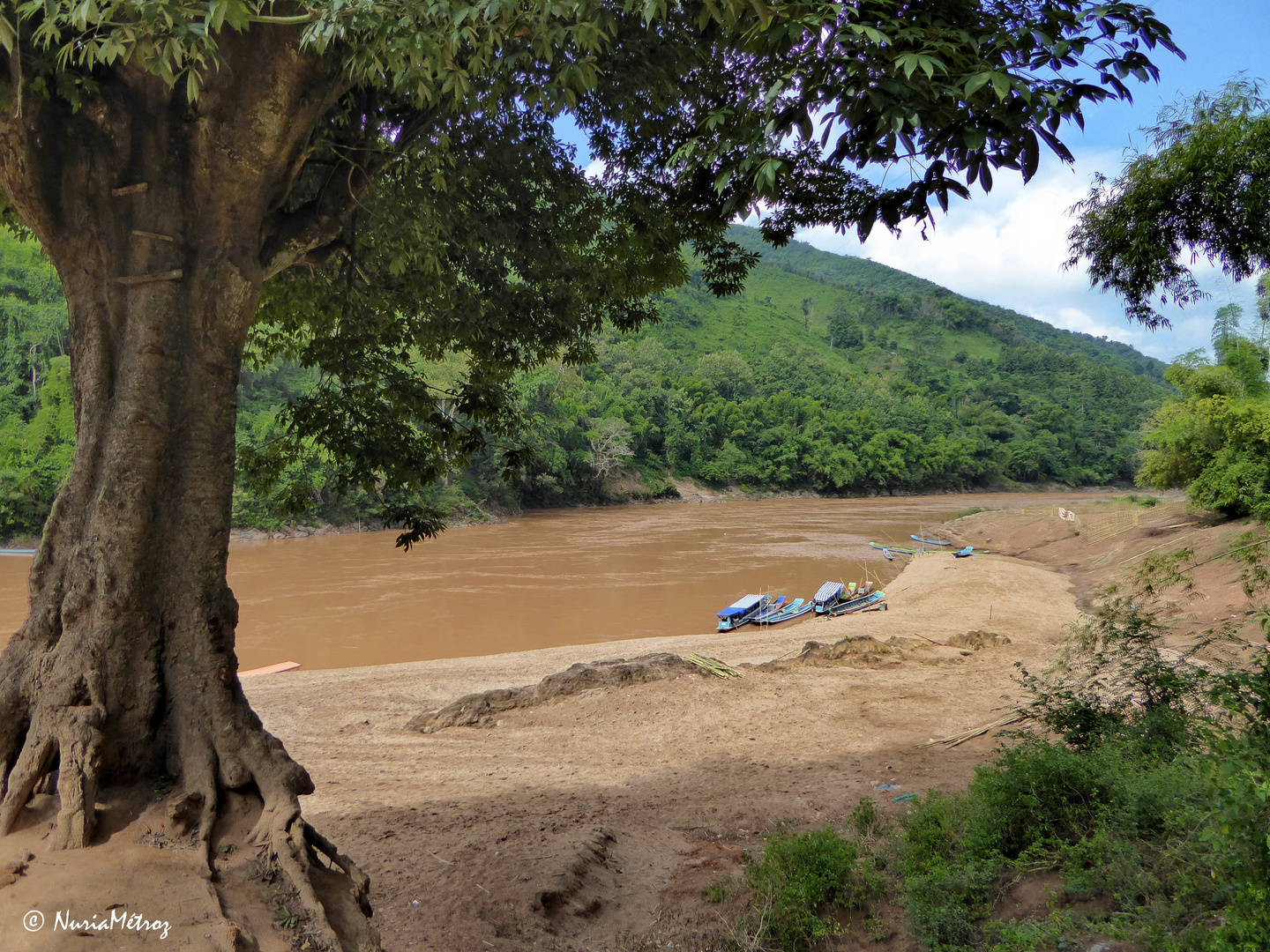 CAMINOS DE LAOS - raices