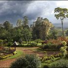 CAMINOS DE LAOS - Sinouk Coffee Resort, BOLOVENS