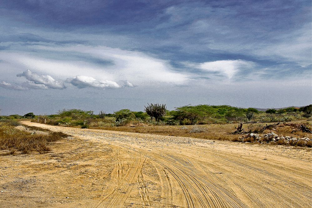 CAMINOS DE MACANAO, ISLA DE MARGARITA von Zerpita- Caroline Selga