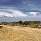 CAMINOS DE MACANAO, ISLA DE MARGARITA