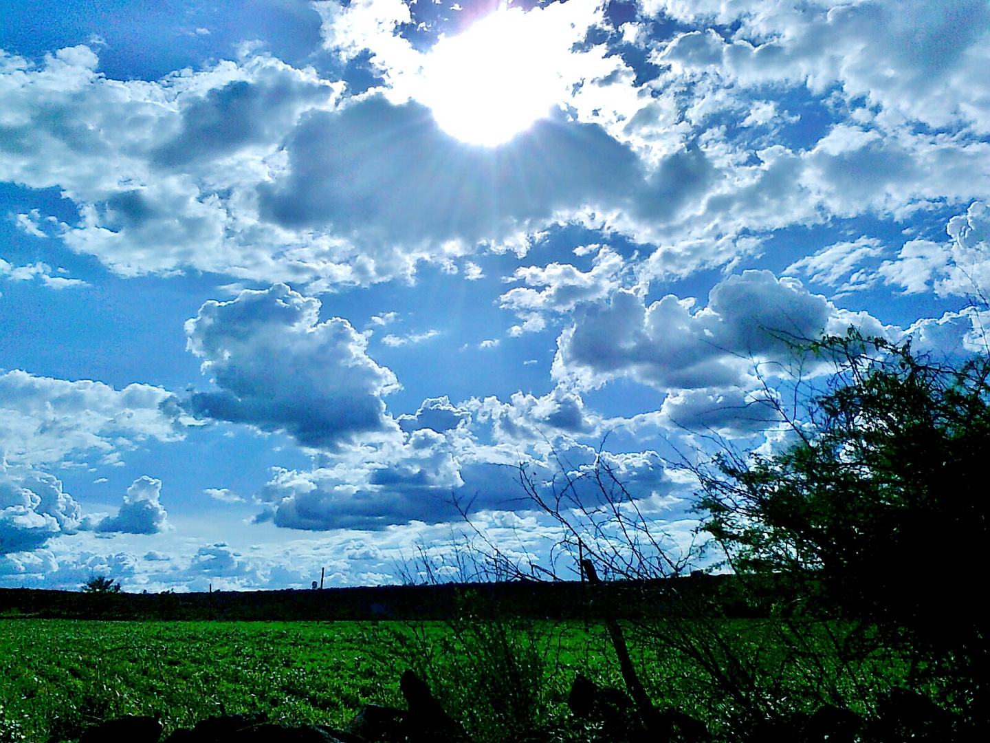 Caminos de Michoacán