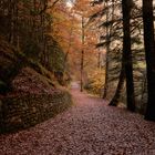 Caminos de Otoño