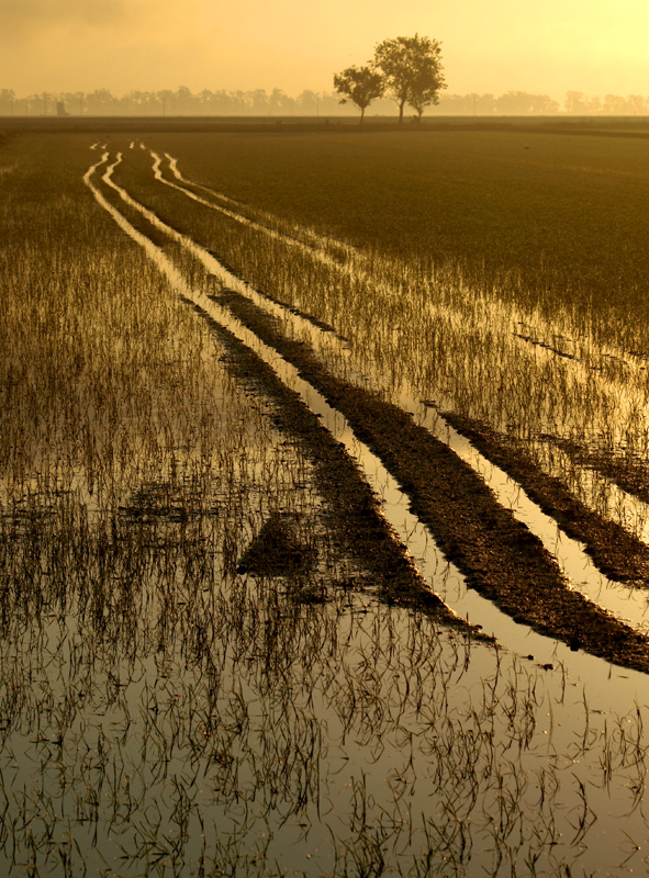 CAMINOS DE VIDA