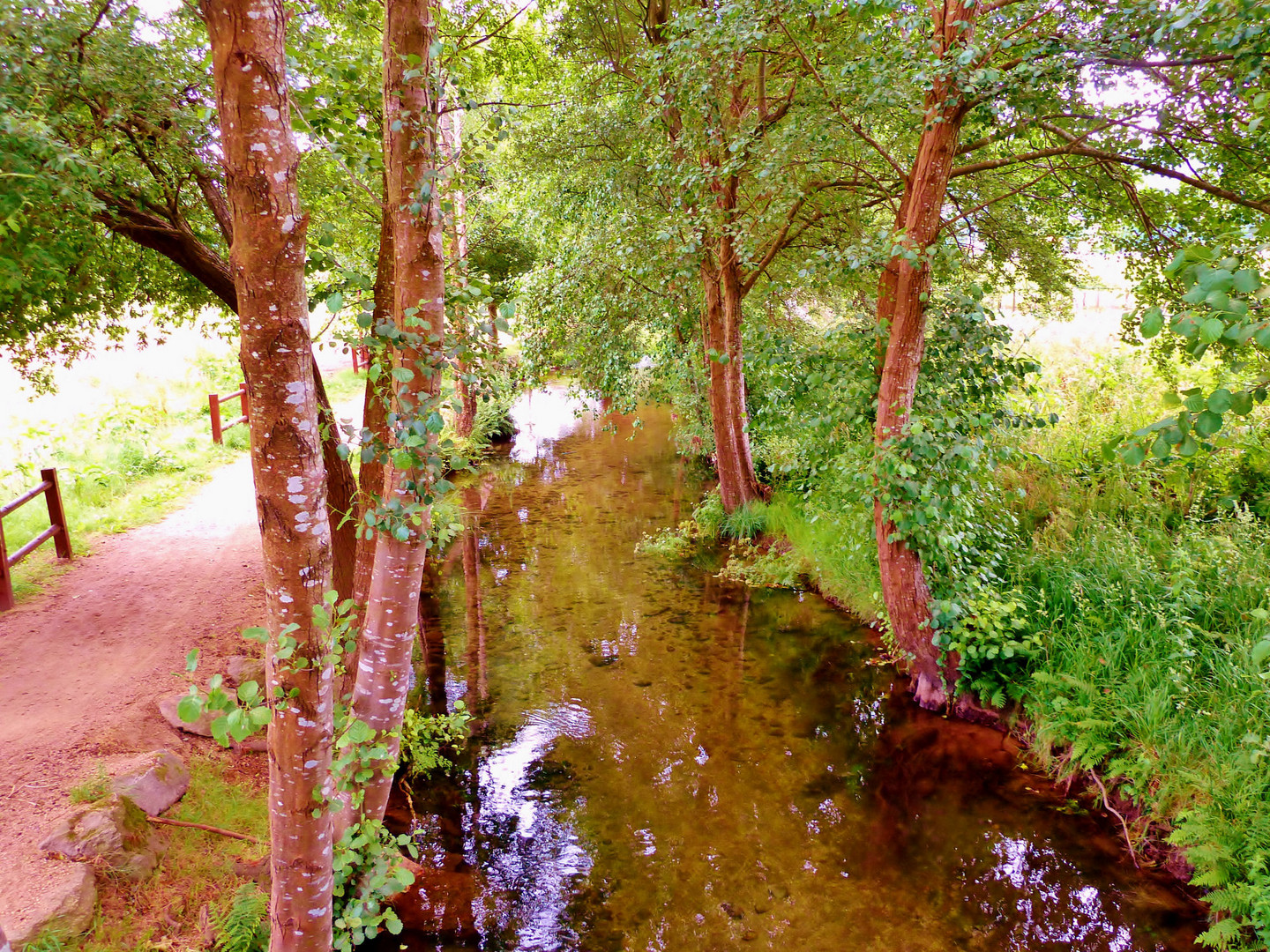 caminos diversos