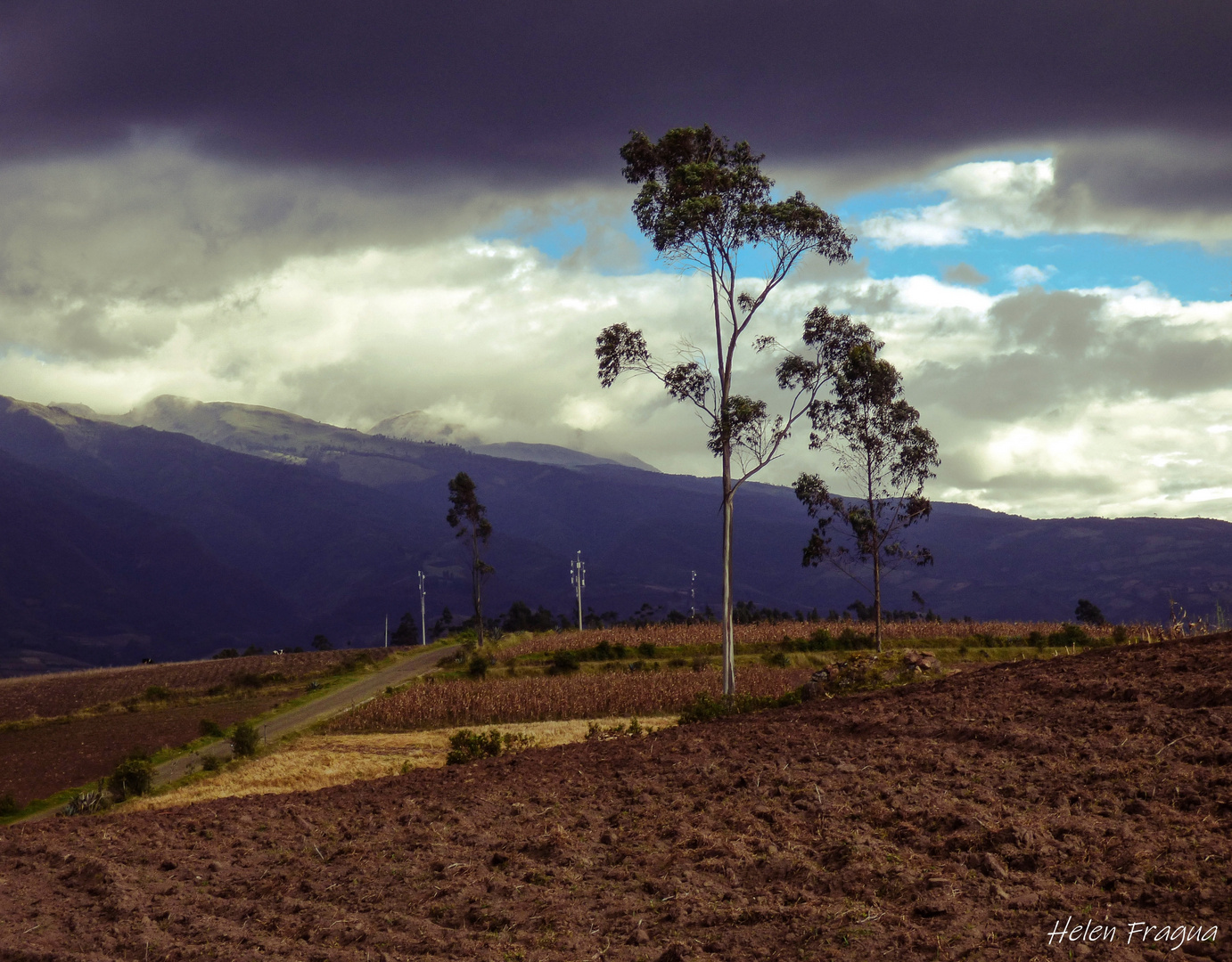 CAMINOS Y VIGÌAS