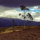 CAMINOS Y VIGÌAS