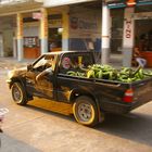 Camioneta de Bananas