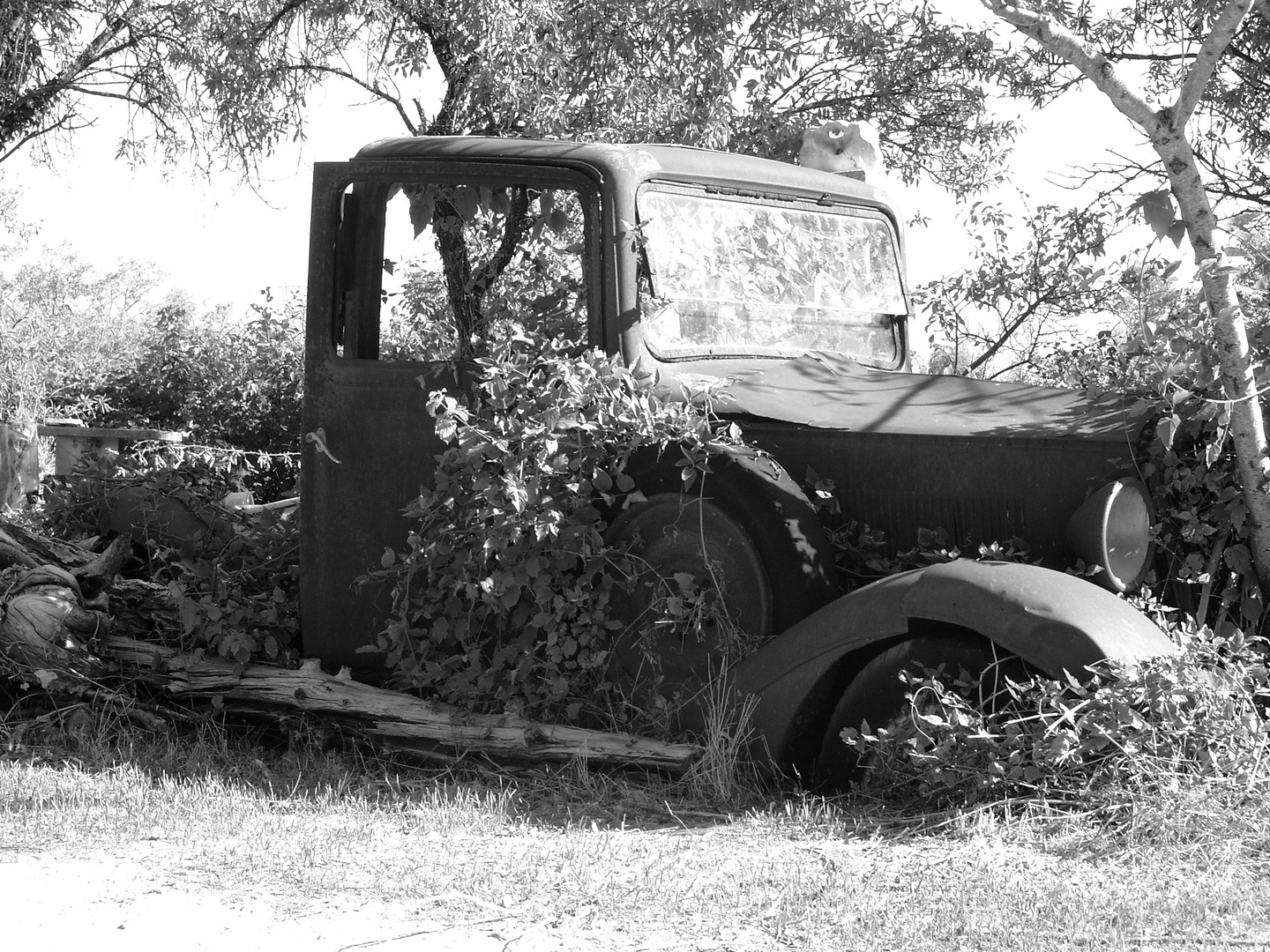 Camionnetto èpave - Vieux voiture ( Citroën ? )