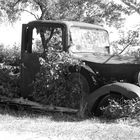 Camionnetto èpave - Vieux voiture ( Citroën ? )