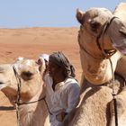 Cammelli nel deserto