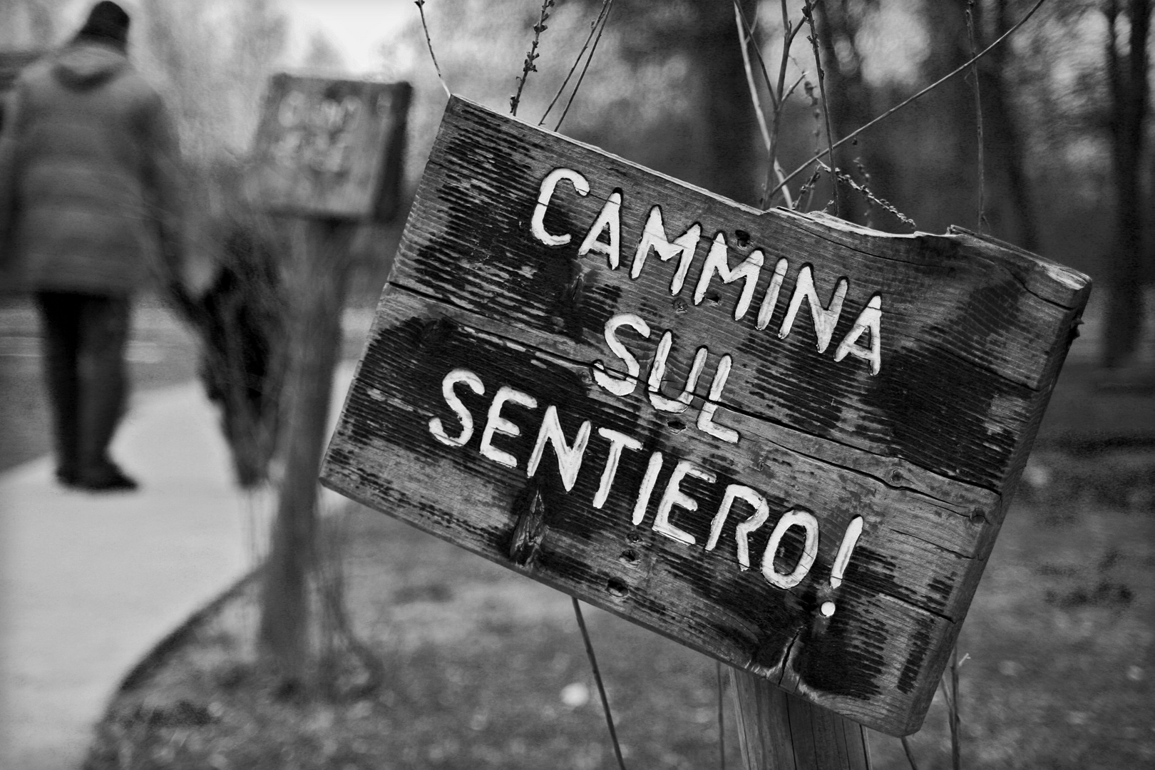 cammina sul sentiero