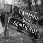 cammina sul sentiero