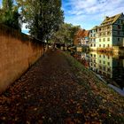 Camminando a Strasburgo 