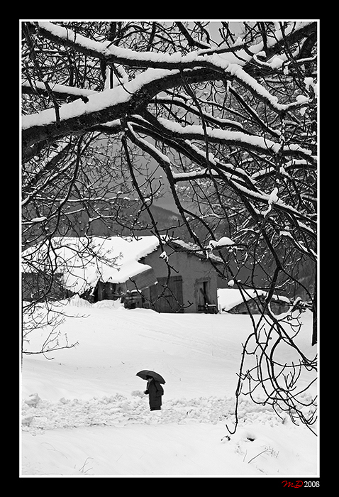 Camminando d'inverno