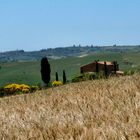 Camminando in Val d' Orcia