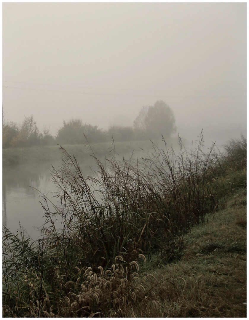 Camminando lungo il canale / 2