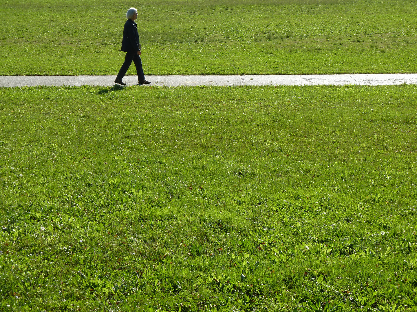 Camminando nel parco.