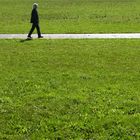 Camminando nel parco.