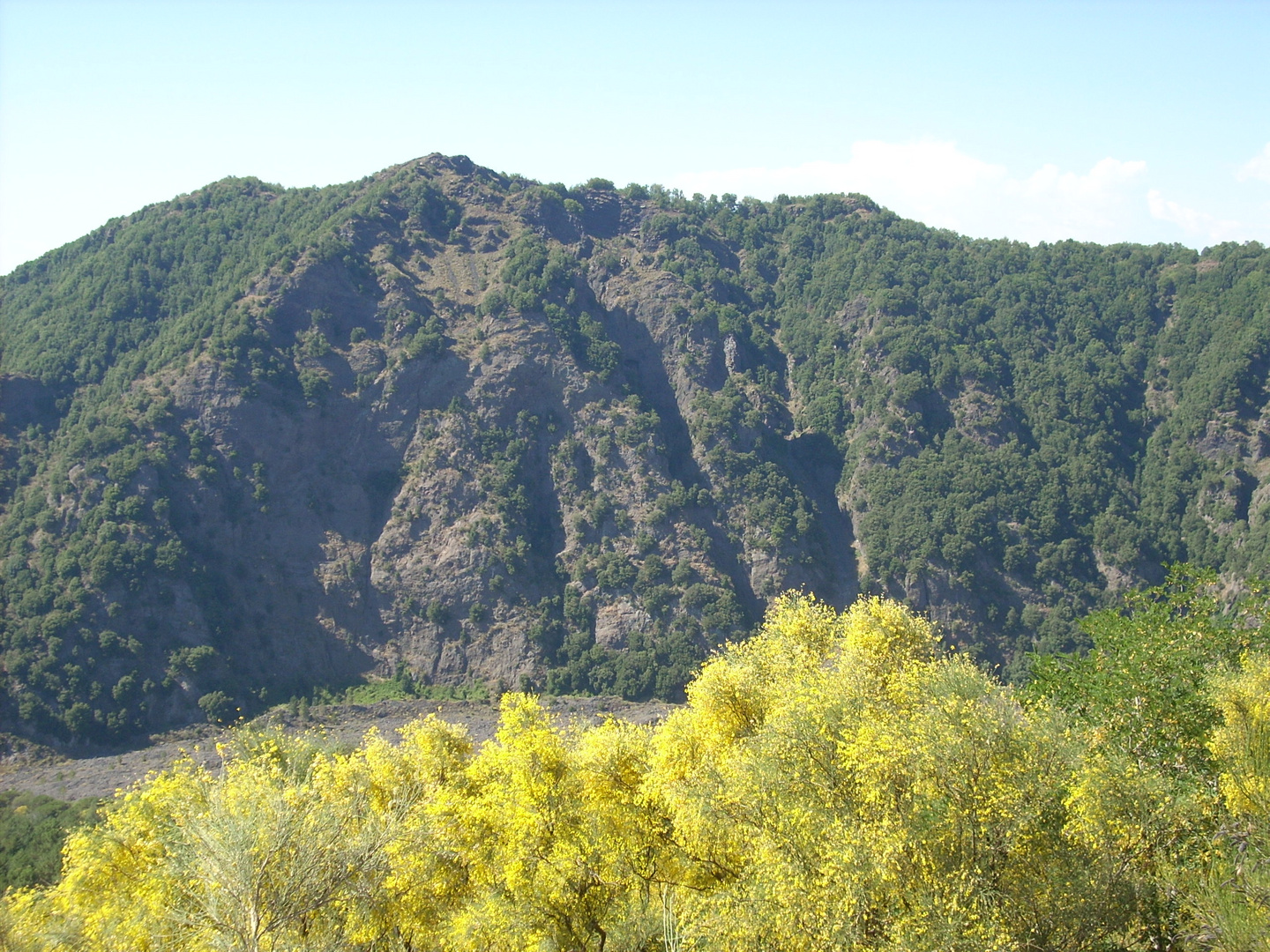 Camminando verso il Vesuvio con il profumo di ginestre