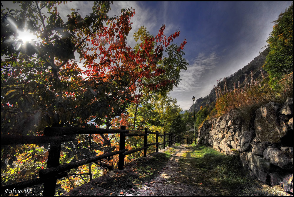 Camminare d'autunno