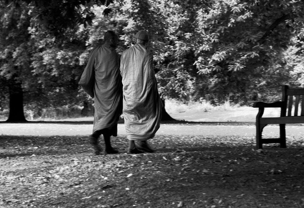 camminare meditando insieme