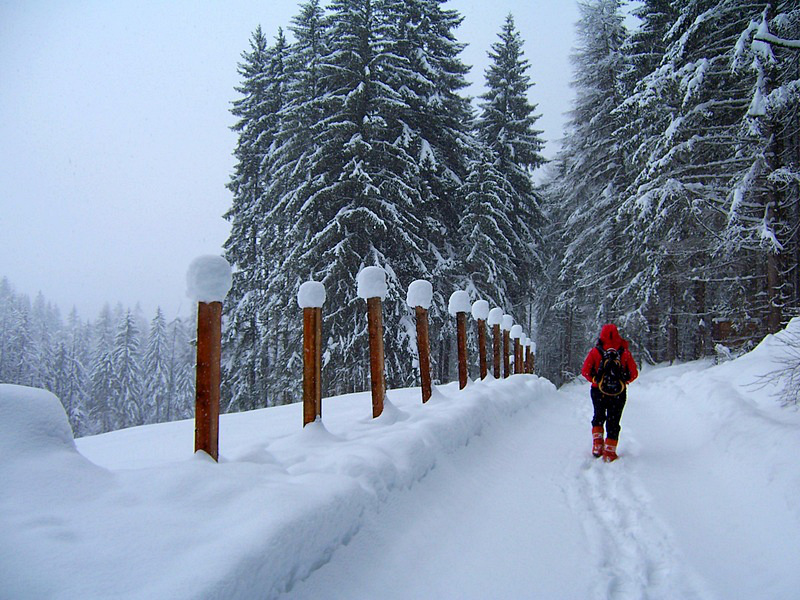 Camminare nel silenzio