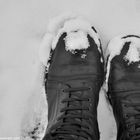 Camminare sulla neve è un po' come mangiare fragole©