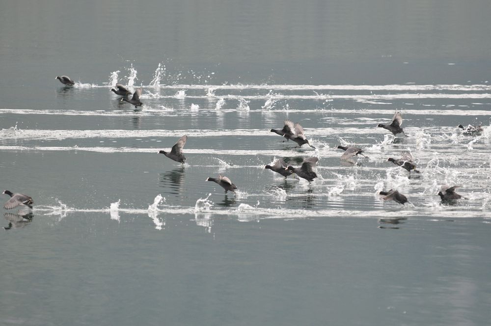 camminare sull'acqua di Luigino Sartori 