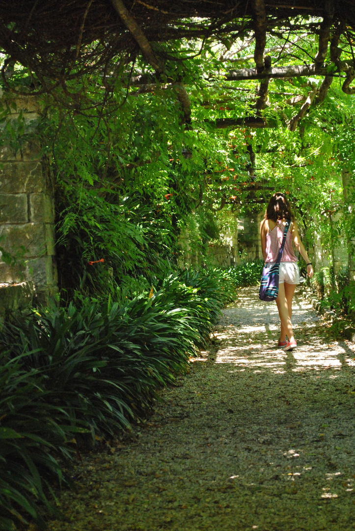 camminata nel verde...