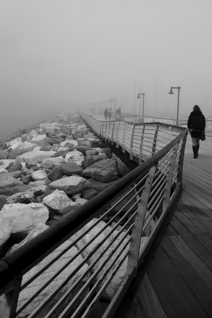 camminata nella nebbia