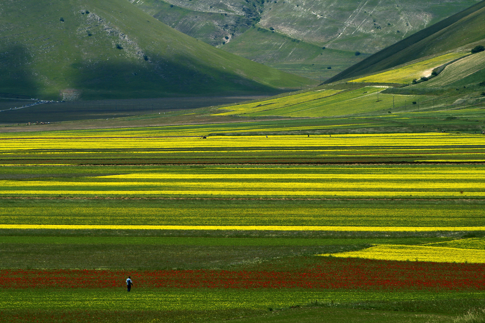 Camminata tra i colori