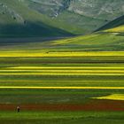 Camminata tra i colori