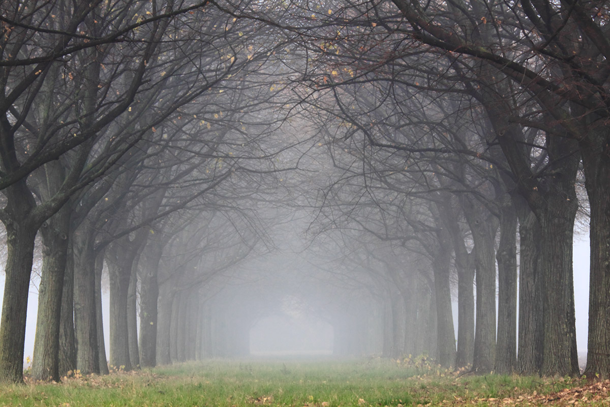 Cammino d'autunno