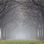 Cammino d'autunno