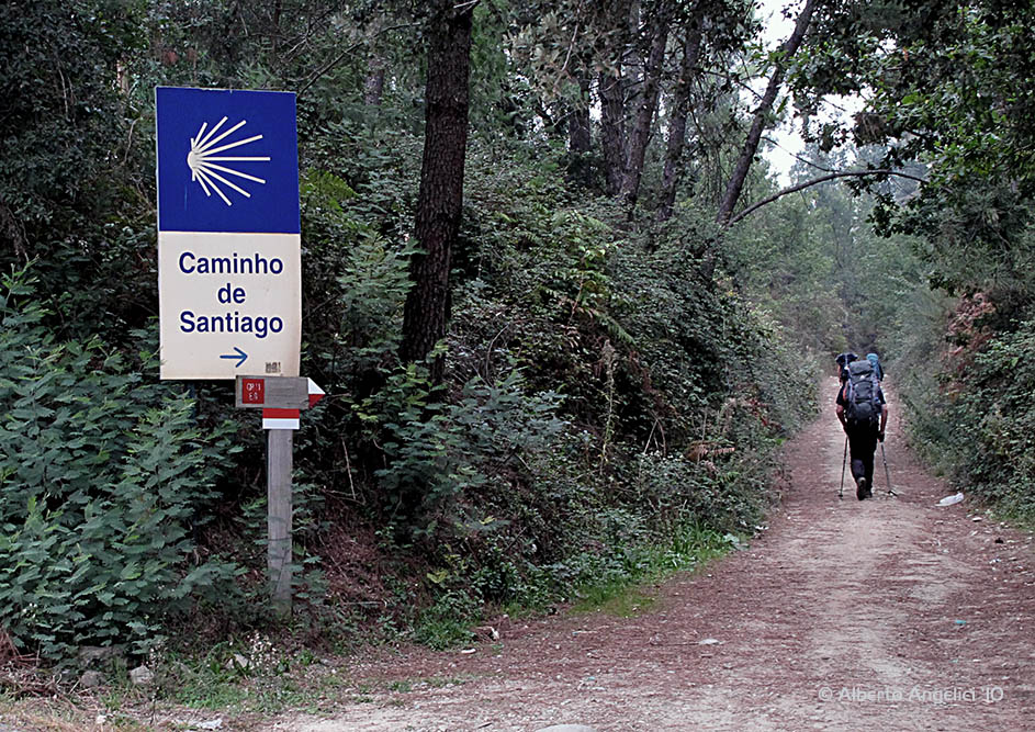 CAMMINO PORTOGHESE PER SANTIAGO-6