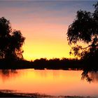 *** Cammoweal  /  Dawn at Georgina River ***