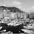 Camogli (2)