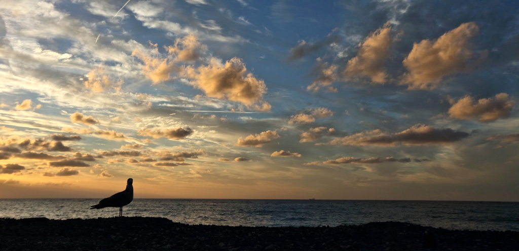 Camogli (4)