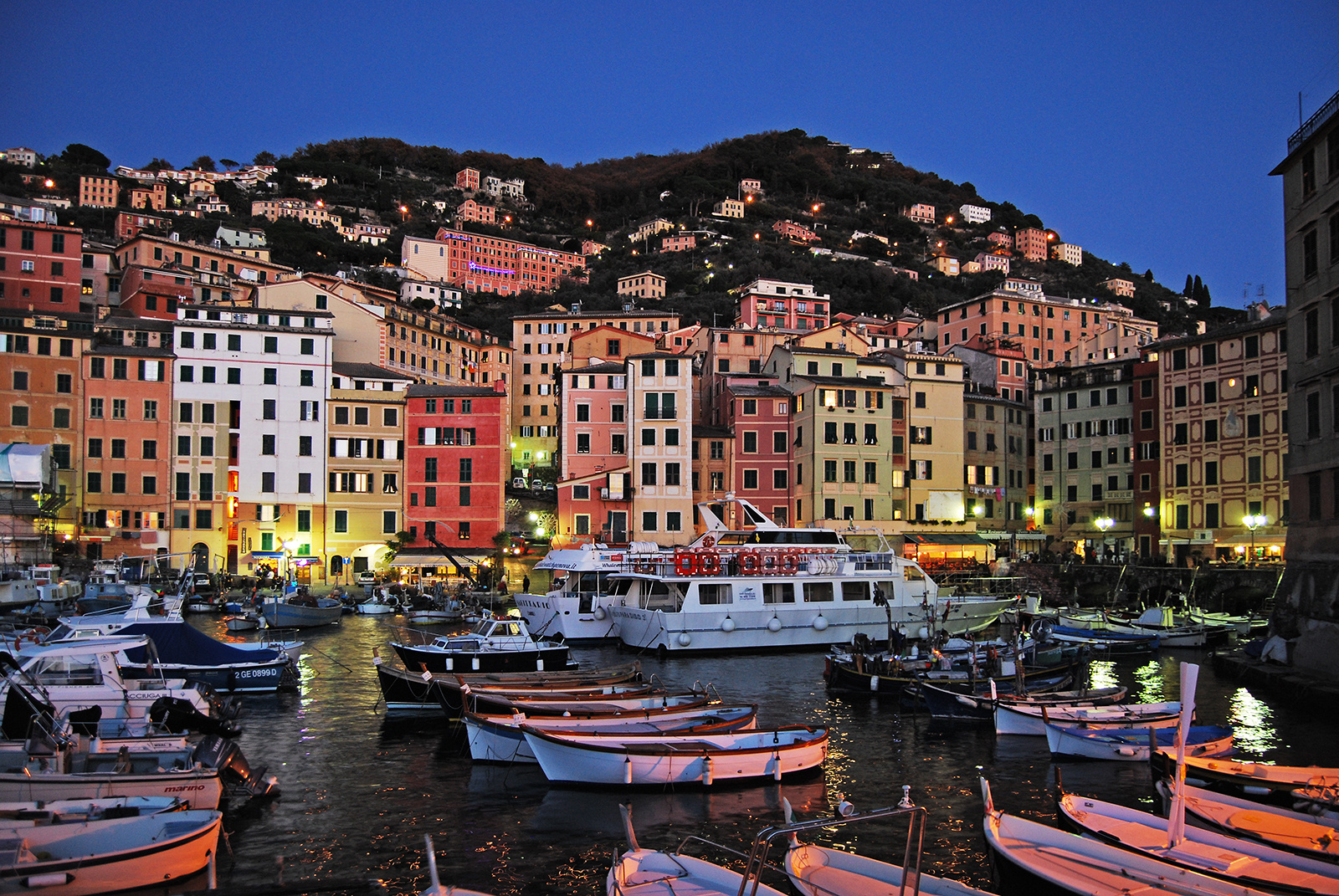 CAMOGLI