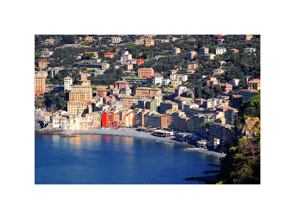 CAMOGLI