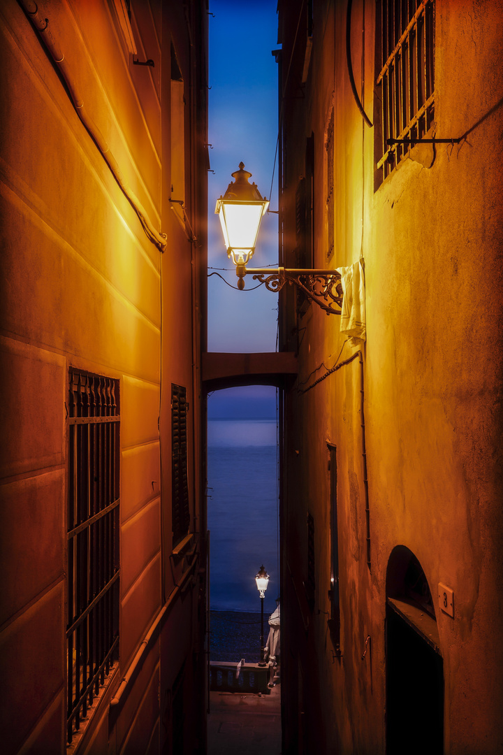 ~ Camogli ~