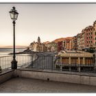 CAMOGLI