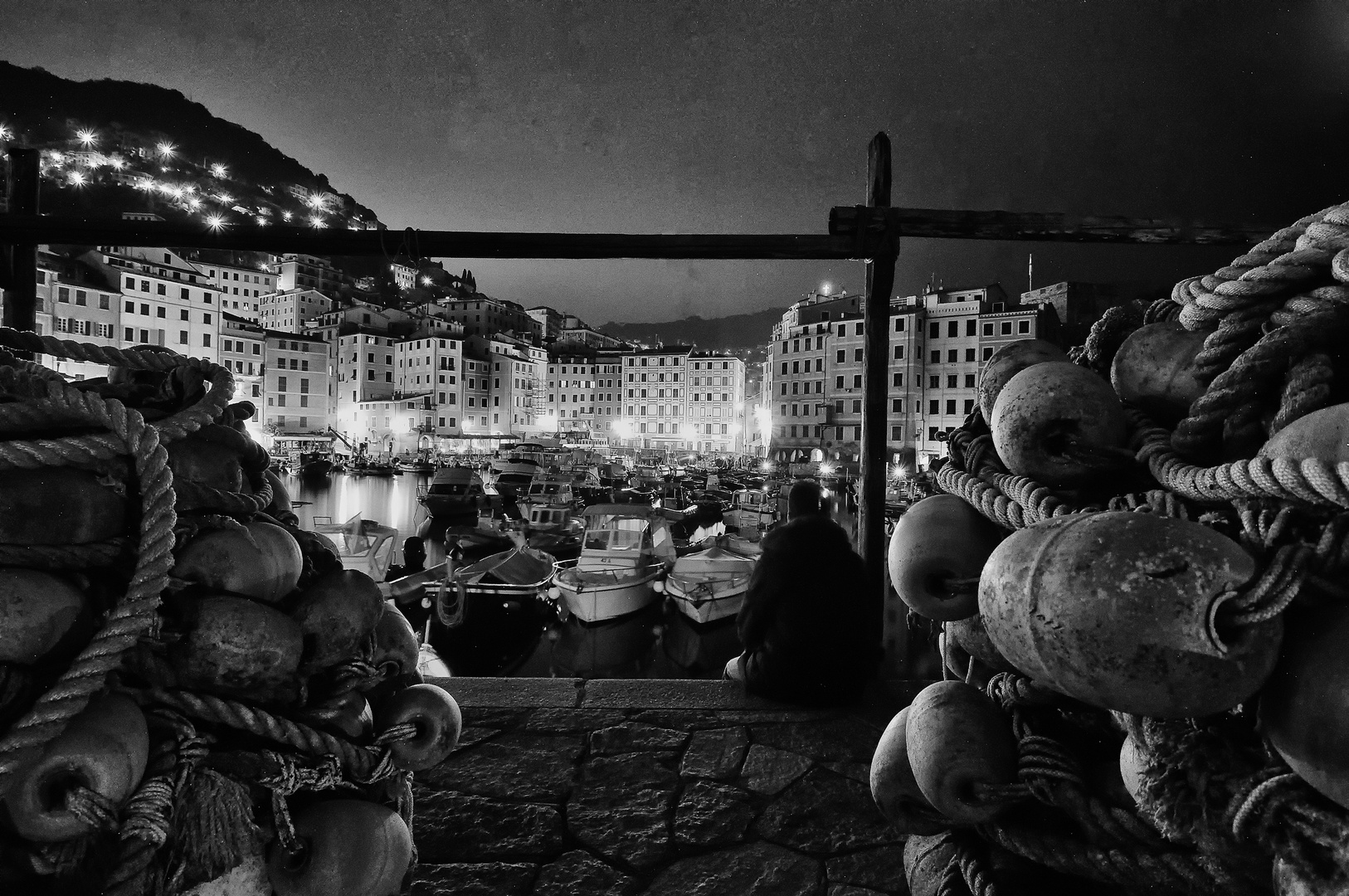 Camogli by night