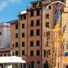 Camogli Harbour